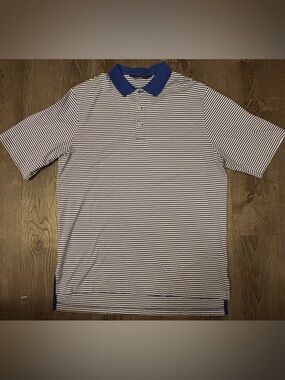 Polo Golf Ralph Lauren Men's Blue White Stripe Cotton Polo Shirt Sz. Med